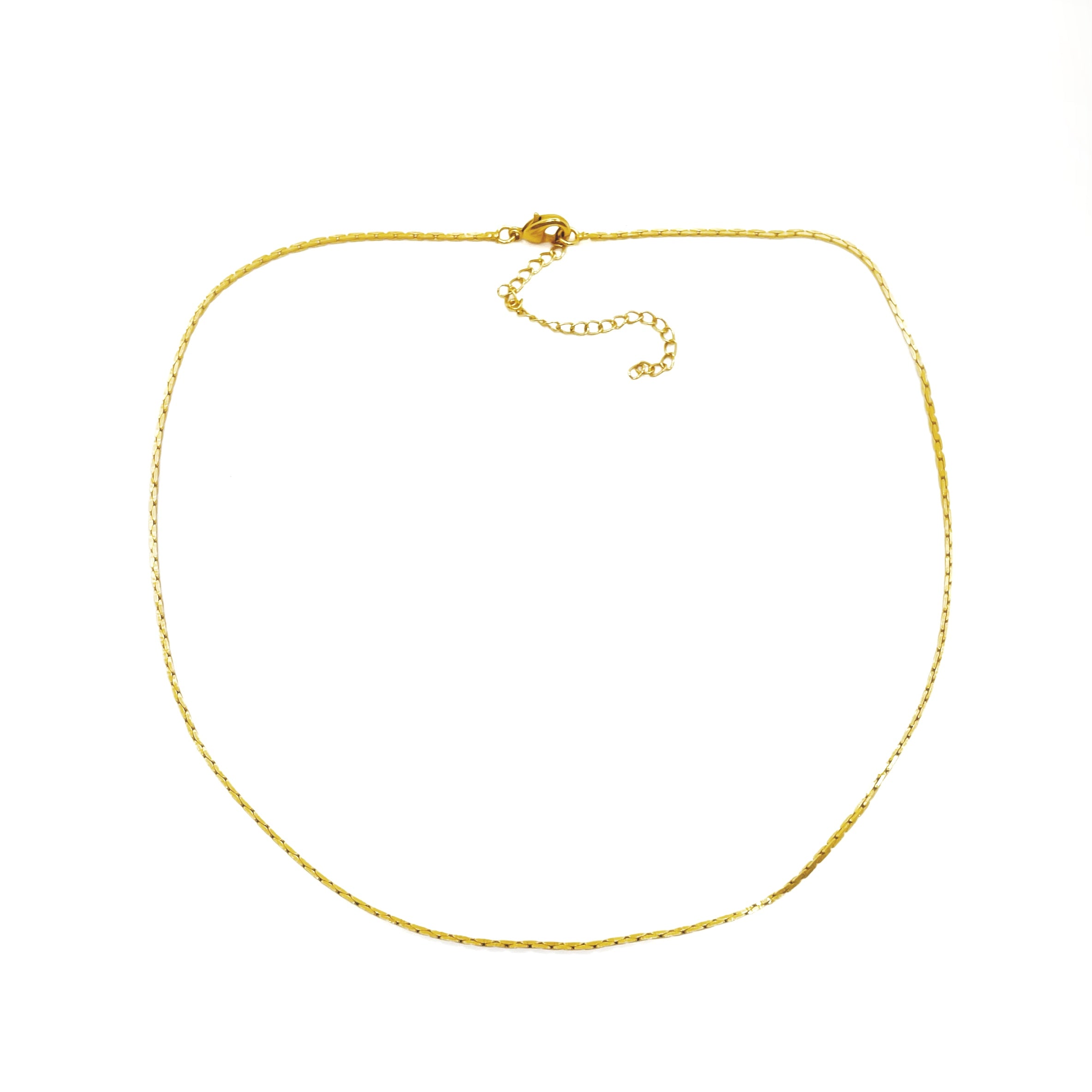 Paloma chain
